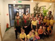 Bibliotekowa choinka